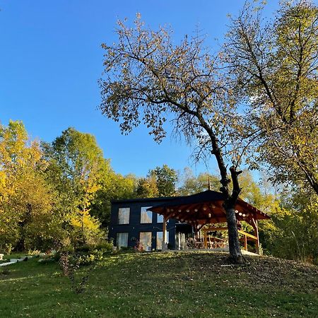 Casa De Pe Un Deal-Provita De Sus-Prahova Екстериор снимка